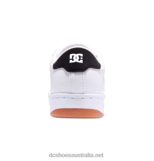 Men's Striker ShoesDC Shoes White/Black/Gum T40LZ153