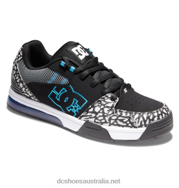 Men's Versatile ShoesDC Shoes Grey/Black/Blue T40LZ380