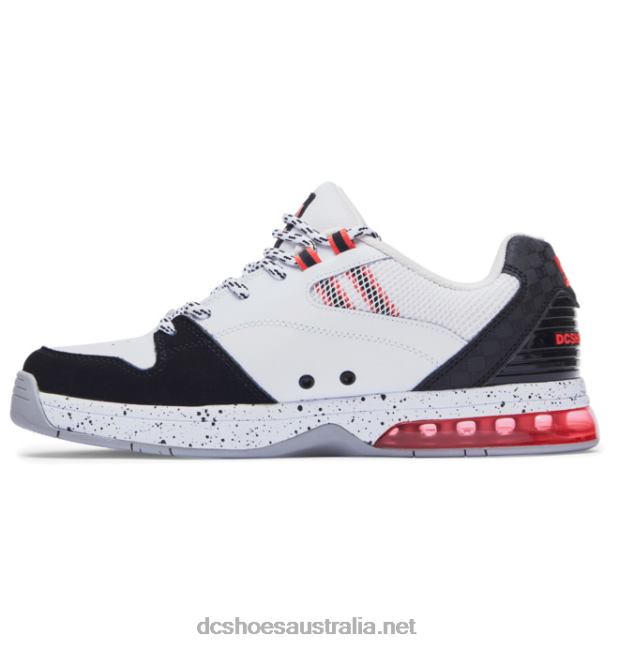 Men's Versatile ShoesDC Shoes White/Black/Blue T40LZ152