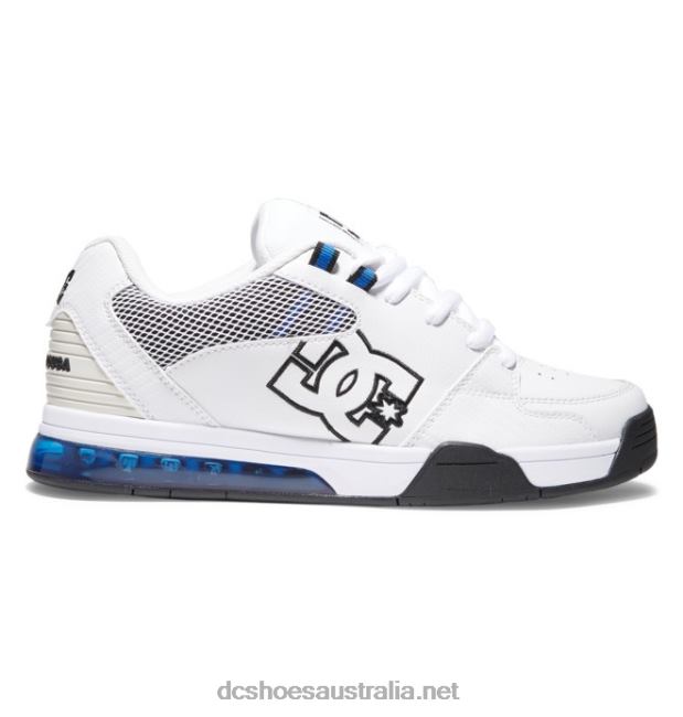 Men's Versatile ShoesDC Shoes White/Royal T40LZ372