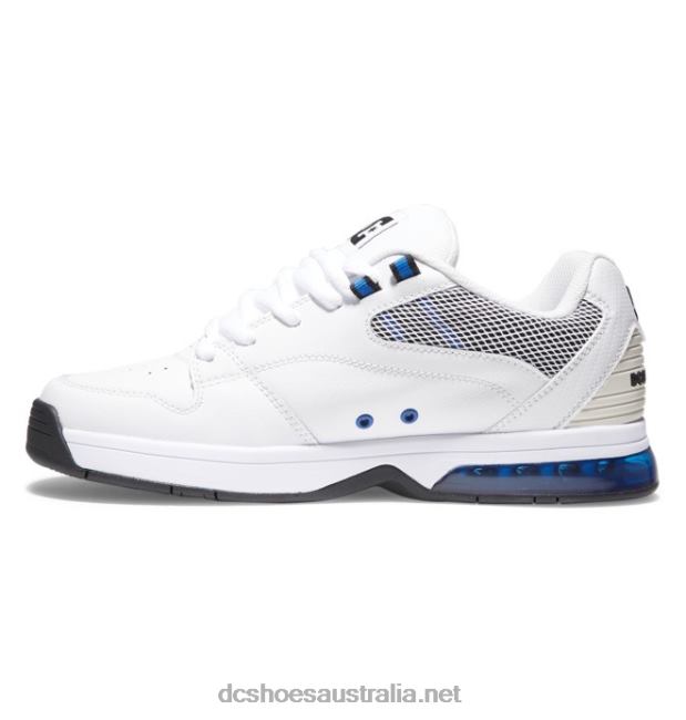 Men's Versatile ShoesDC Shoes White/Royal T40LZ372
