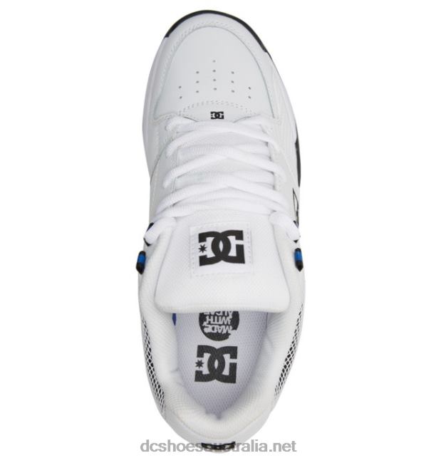 Men's Versatile ShoesDC Shoes White/Royal T40LZ372