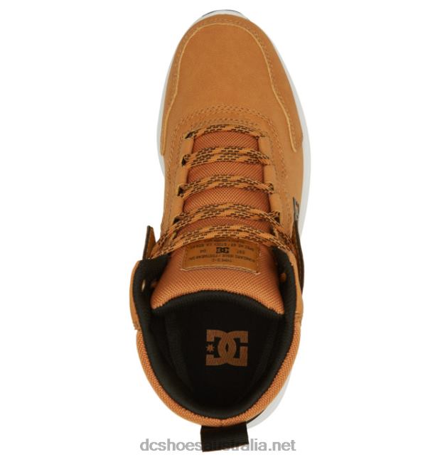 Men's Mutiny Water-Resistant Winter BootsDC Shoes Wheat/Black T40LZ334
