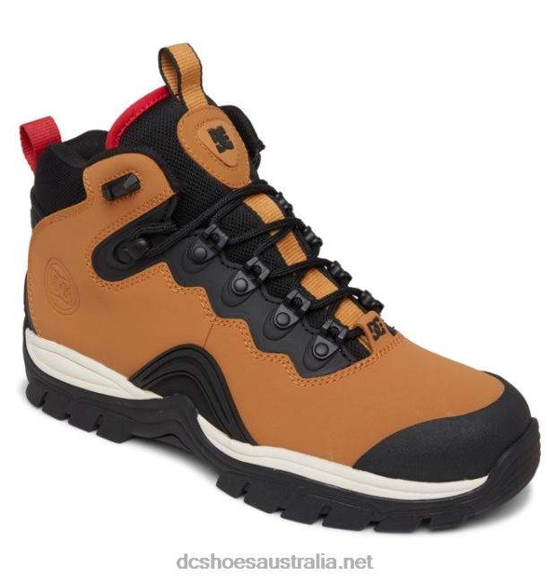 Men's Navigator Lace Winter BootsDC Shoes Wheat/Black T40LZ165