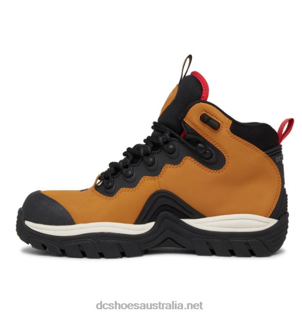 Men's Navigator Lace Winter BootsDC Shoes Wheat/Black T40LZ165