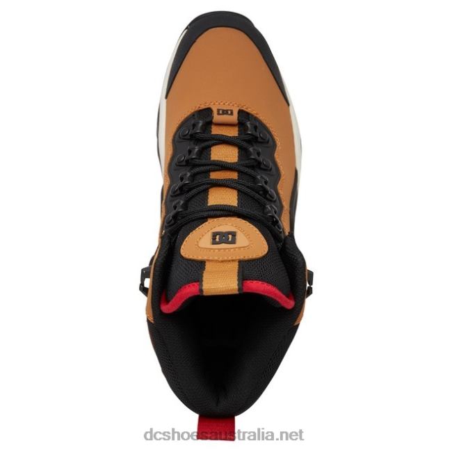 Men's Navigator Lace Winter BootsDC Shoes Wheat/Black T40LZ165