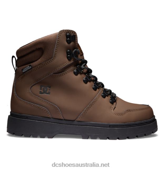 Men's Peary Lace Winter BootsDC Shoes Dark Chocolate T40LZ230