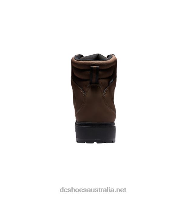 Men's Peary Lace Winter BootsDC Shoes Dark Chocolate T40LZ230