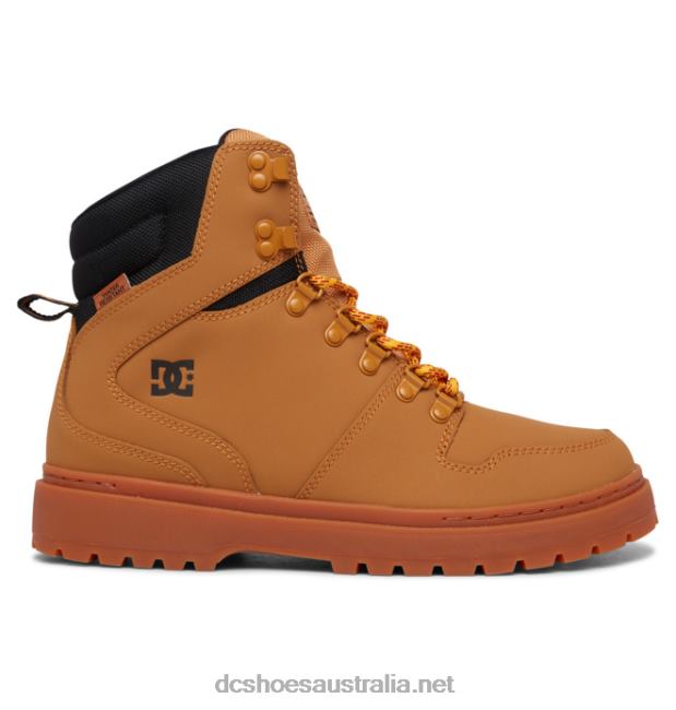 Men's Peary Lace Winter BootsDC Shoes Wheat/Black T40LZ211