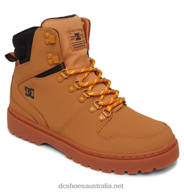 Men's Peary Lace Winter BootsDC Shoes Wheat/Black T40LZ211