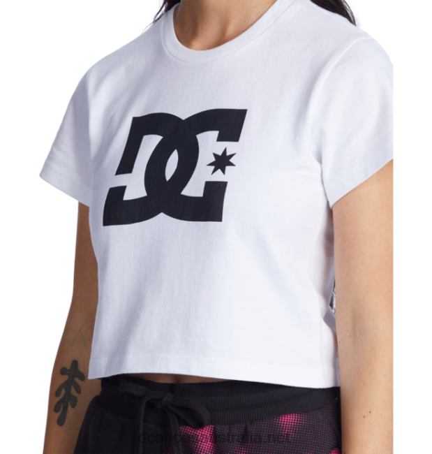 Women's DC Star Cropped T-ShirtDC Shoes White T40LZ472