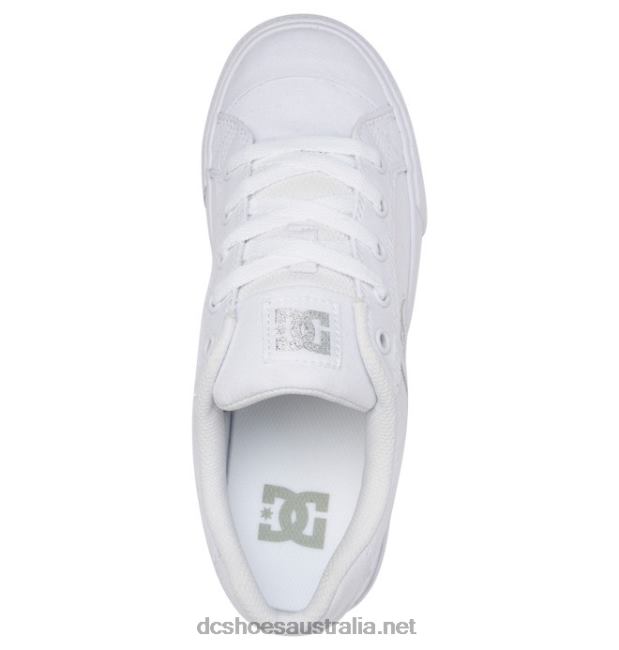 Women's Chelsea Canvas ShoesDC Shoes White/Silver T40LZ455